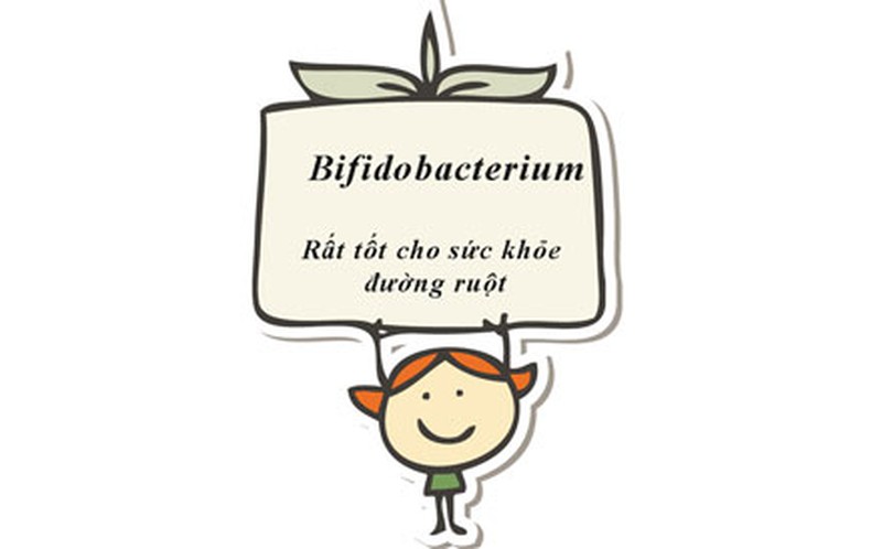 「Lợi khuẩn Bifidobacterium」の画像検索結果